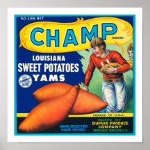Vintage Champ Sweet Potatoes Print