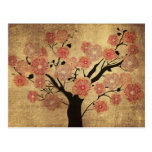 Vintage cherry tree Postcard