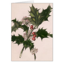 Vintage Christmas, Holly Branch with Red Berries Cards