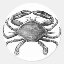 Vintage Crab Drawing Round Sticker