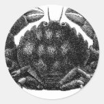 Vintage Crab Sticker