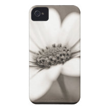 Vintage Daisy iPhone 4 Cover