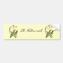 Vintage Dandelion Illustration Bumper Sticker