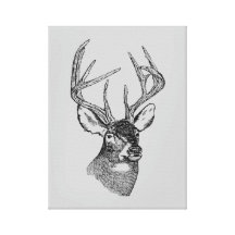 Vintage deer art graphic gallery wrapped canvas