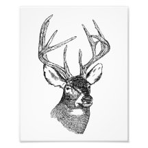 Vintage deer art graphic photo