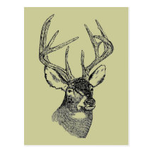 Vintage deer art graphic postcard