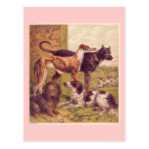 Vintage Dogs Art Postcard