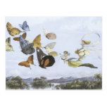 Vintage Faerie Postcard