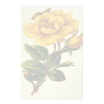 Vintage Floral Stationery