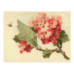 Vintage Flowering Tree Postcard