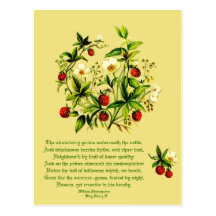Vintage Flowers of Shakespeare Strawberries Postca Postcards
