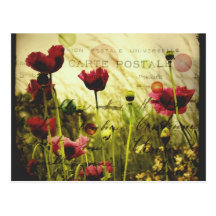 Vintage flowers Postcard