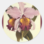 Vintage Flowers, Tropical Purple Cattleya Orchid Sticker
