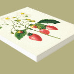 Vintage Food Fruit Berries Strawberries by Redoute canvas prints