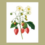 Vintage Food Fruit Berries Strawberries by Redoute posters