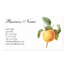 Vintage Food Fruit, Calville Apple by Redoute Business Card