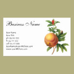 Vintage Food Fruit, Pomegranate by Redoute business cards