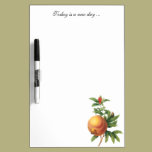 Vintage Food Fruit, Pomegranate by Redoute dry erase boards