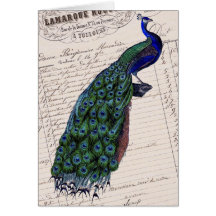 Vintage French Chic Blue Peacock Greeting Card
