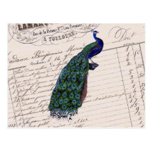 Vintage French Chic Blue Peacock Postcards