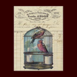 Vintage French Chic Victorian Birdcage Love Birds postcards