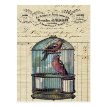 Vintage French Chic Victorian Birdcage Love Birds Postcards