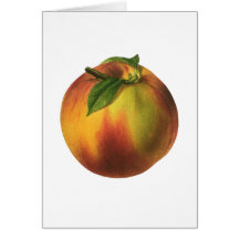 Vintage Fruit; Peach Card