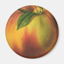 Vintage Fruit; Peach Fridge Magnets