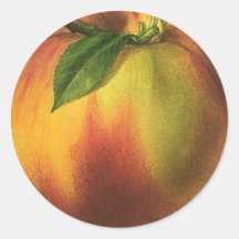 Vintage Fruit; Peach Round Sticker