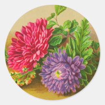 Vintage Gerber Daisy Stickers