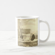 Vintage Guinea Pig Coffee Mugs