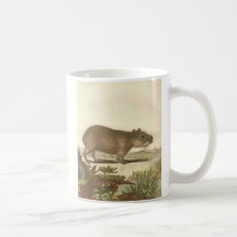 Vintage Guinea Pig Mugs