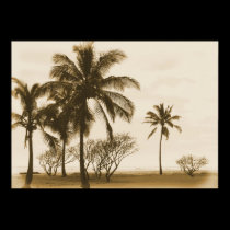 Vintage Hawaii posters