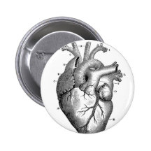 Vintage Heart Anatomy | Customisable Buttons