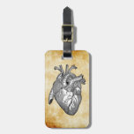 vintage heart anatomy travel bag tag