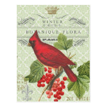 Vintage Holiday-Winter red cardinal-postcard
