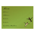 Vintage Humming Birds choose Background colours Business Cards