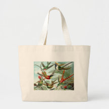 Vintage hummingbirds scientific illustration canvas bags