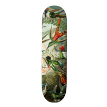 Vintage hummingbirds scientific illustration custom skate board