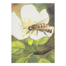 Vintage Illustration : Bee On A White Flower Personalized Invitations