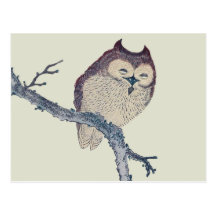 Vintage Japanese Sleeping Owl Postcards