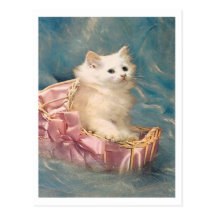 Vintage Kitty Postcard