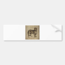 Vintage Leopard Bumper Sticker