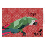 Vintage Majestic Macaw Red Love Valentine Cards