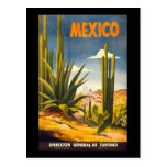 Vintage Mexico Post Card