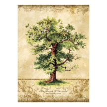 Vintage Oak Tree of Life Swirl Etchings Parchment Personalized Announcement