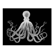 Vintage Octopus Post Card