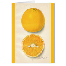 Vintage Oranges Card