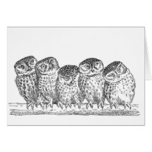 Vintage Owls Cards