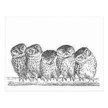 Vintage Owls Post Cards
